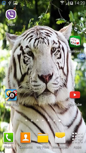 Ladda ner Tigers: shake and change - gratis live wallpaper för Android på skrivbordet.