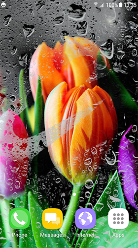 Tulips by Live Wallpapers 3D