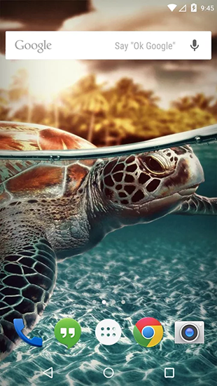 Ladda ner Underwater animals - gratis live wallpaper för Android på skrivbordet.