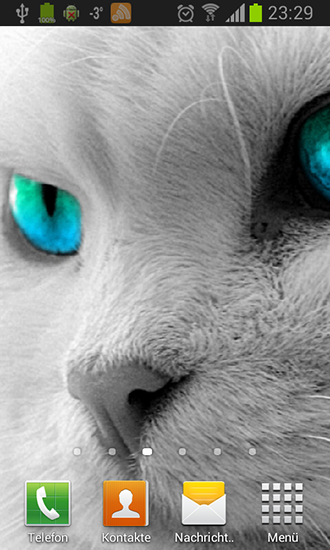 Ladda ner White cats - gratis live wallpaper för Android på skrivbordet.