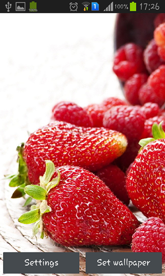 Ladda ner Wild berries - gratis live wallpaper för Android på skrivbordet.