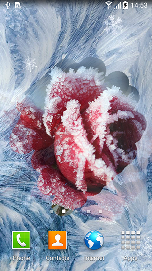 Ladda ner Winter flowers - gratis live wallpaper för Android på skrivbordet.