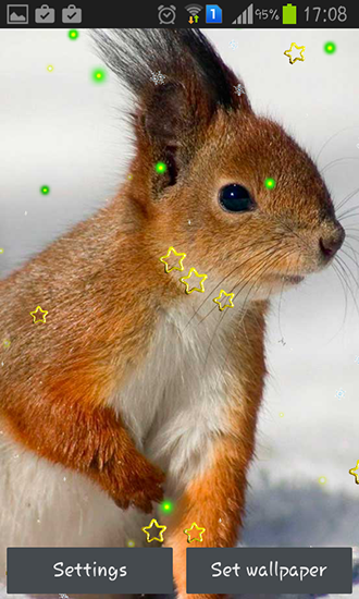 Ladda ner Winter squirrel - gratis live wallpaper för Android på skrivbordet.