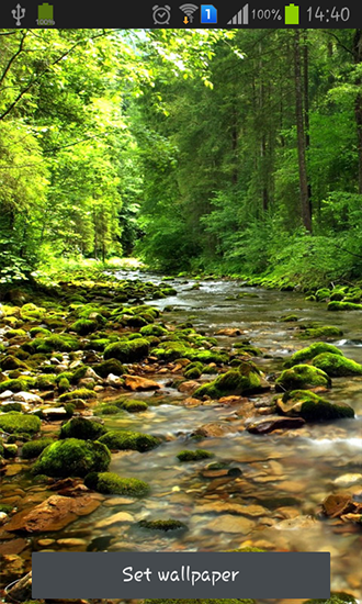 Ladda ner Wonderful forest river - gratis live wallpaper för Android på skrivbordet.