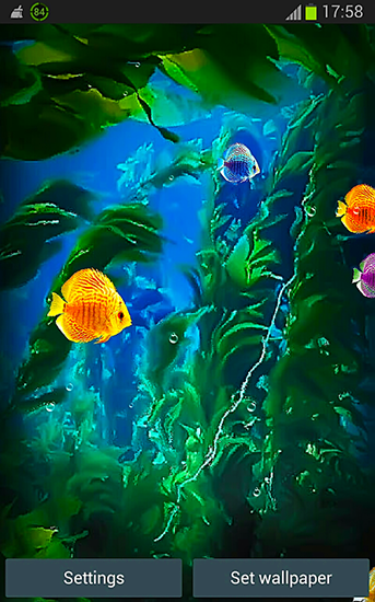 Aquarium 3D by Pups apps