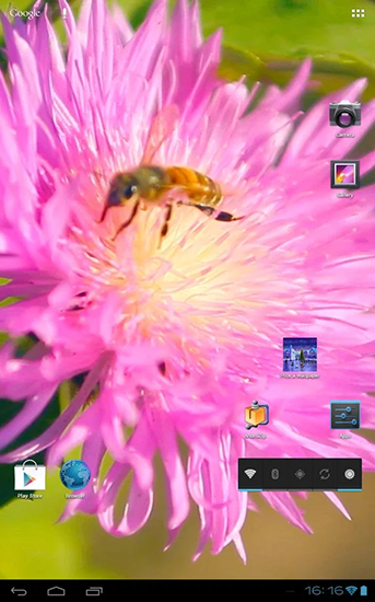 Bee on a clover flower 3D