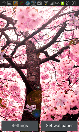 Cherry blossom by Creative factory wallpapers