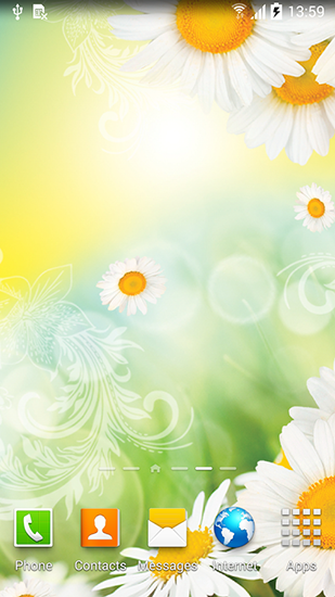 Daisies by Live wallpapers
