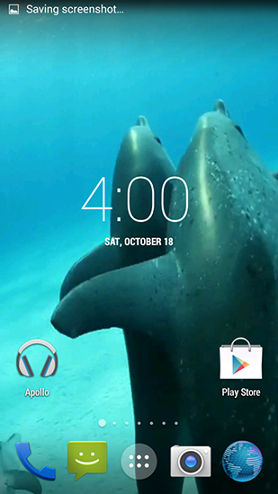 Dolphins HD