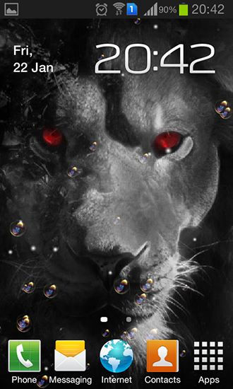 Eyes lion