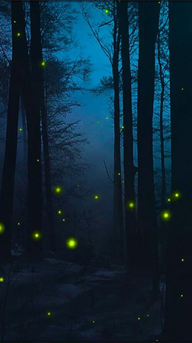 Fireflies 3D by Live Wallpaper HD 3D