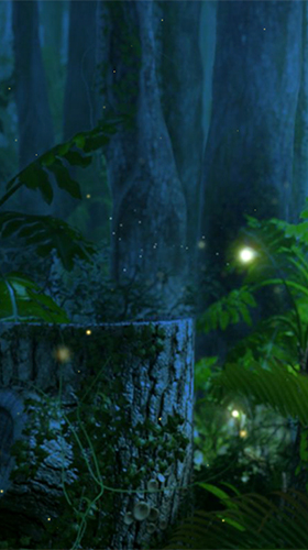 Fireflies by Wallpapers and Backgrounds Live