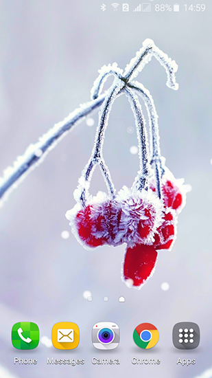 Frozen beauty: Winter tale