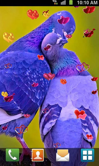 Love: Birds