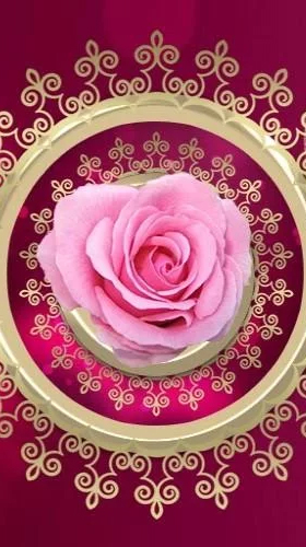 Luxury vintage rose