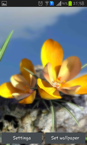 Nature live: Spring flowers 3D