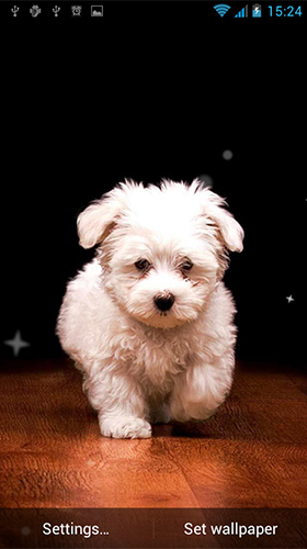 Puppy by Best Live Wallpapers Free