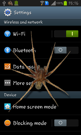 Spider in phone