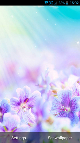 Summer Flowers by Dynamic Live Wallpapers