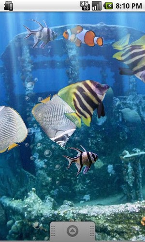 The real aquarium