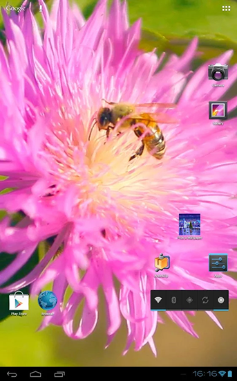 Bee on a clover flower 3D