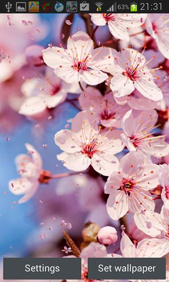 Cherry blossom by Creative factory wallpapers
