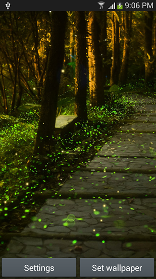 Fireflies by Top live wallpapers hq