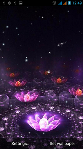 Neon flowers by Live Wallpapers Gallery