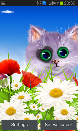 Spring: Kitten