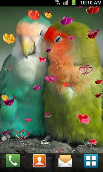Love: Birds