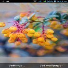 Förutom levande bakgrundsbild till Android Blue enchantress ström, ladda ner gratis live wallpaper APK 1031 flowers andra.