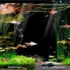 Förutom levande bakgrundsbild till Android Princess ström, ladda ner gratis live wallpaper APK Aquarium by minatodev andra.
