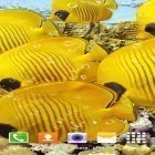 Förutom levande bakgrundsbild till Android Fire by Pawel Gazdik ström, ladda ner gratis live wallpaper APK Aquarium by Top Live Wallpapers andra.