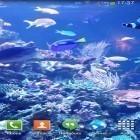 Förutom levande bakgrundsbild till Android Stars: Locker ström, ladda ner gratis live wallpaper APK Aquarium HD 2 andra.