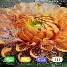 Förutom levande bakgrundsbild till Android Raindrop ström, ladda ner gratis live wallpaper APK Autumn and winter flowers andra.