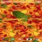 Förutom levande bakgrundsbild till Android The real aquarium ström, ladda ner gratis live wallpaper APK Autumn Leaves andra.