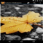 Förutom levande bakgrundsbild till Android Meteor ström, ladda ner gratis live wallpaper APK Autumn wallpapers by Infinity andra.