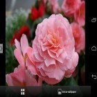 Förutom levande bakgrundsbild till Android Blooming Night ström, ladda ner gratis live wallpaper APK Beautiful flowers andra.