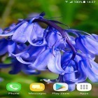 Förutom levande bakgrundsbild till Android Sakura's bridge ström, ladda ner gratis live wallpaper APK Beautiful spring flowers andra.