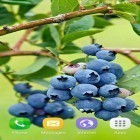 Förutom levande bakgrundsbild till Android Autumn waterfall 3D ström, ladda ner gratis live wallpaper APK Berries andra.