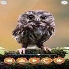 Förutom levande bakgrundsbild till Android Optical illusion ström, ladda ner gratis live wallpaper APK Bird sounds andra.