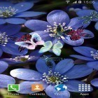 Ladda ner Butterfly by Live Wallpapers 3D på Android, liksom andra gratis live wallpapers för HTC Magic.