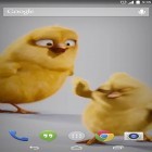 Förutom levande bakgrundsbild till Android Real Time Weather ström, ladda ner gratis live wallpaper APK Chickens andra.