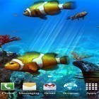 Förutom levande bakgrundsbild till Android Firefly ström, ladda ner gratis live wallpaper APK Clownfish aquarium 3D andra.