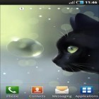 Förutom levande bakgrundsbild till Android Cobra ström, ladda ner gratis live wallpaper APK Curious Cat andra.