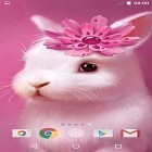Förutom levande bakgrundsbild till Android Prismatic ström, ladda ner gratis live wallpaper APK Cute animals by MISVI Apps for Your Phone andra.