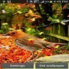 Förutom levande bakgrundsbild till Android Dryad ström, ladda ner gratis live wallpaper APK Cute birds andra.