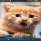 Förutom levande bakgrundsbild till Android Neon butterfly 3D ström, ladda ner gratis live wallpaper APK Cute cat by Psii andra.