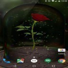 Förutom levande bakgrundsbild till Android Seeds of life ström, ladda ner gratis live wallpaper APK Enchanted Rose andra.