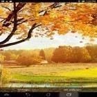 Förutom levande bakgrundsbild till Android Autumn Leaves ström, ladda ner gratis live wallpaper APK Falling leaves by Top Live Wallpapers andra.